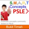 P6 In-Person@Bt Timah, Essential Concepts Workshop