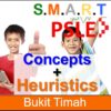 P6 In-Person@Bt Timah, Essential Concepts ➕ Power Heuristics Bundle