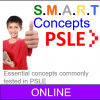 P6 Online Class, Essential Concepts Workshop