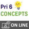 P6 Online Class, Essential Concepts Workshop